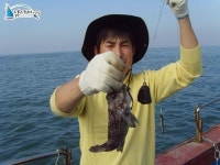 석천 바다낚시 석천항낚시배 10년10월24일 조황정보 임해호 조황정보  [경기 - 화성시] - 낚시배닷컴