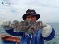 석천 바다낚시 석천항낚시배 10년10월24일 조황정보 임해호 조황정보  [경기 - 화성시] - 낚시배닷컴