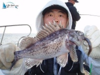 인천연안부두 바다낚시 인천만석부두선상낚시 마린스타10월31일조황입니다. 마린스타 조황정보  [인천  - 동구] - 낚시배닷컴