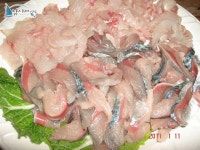 포항 선상낚시 양포항배낚시 큰~고등어들 구경하삼~^^ 가자피싱호 조황정보  [경북 - 포항시] - 낚시배닷컴