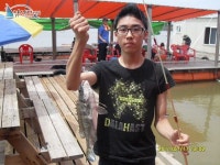 홍성 가두리낚시 안면도 홍성좌대낚시 2011년 7월 17일 조황입니다. 태극호좌대낚시 조황정보  [충남 - 태안군] - 낚시배닷컴