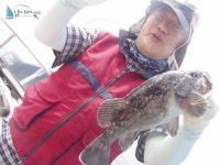 구매항 쭈꾸미낚시 학암포선상낚시 포세이돈호2012년06월10일 < 우럭 대박이라나 ? 쿨러 조황 ^^* >... 뉴포세이돈호 조황정보  [충남 - 태안군]... 