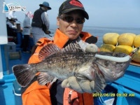 안흥항 배낚시 선상배낚시 선상배낚시 6월28일 재성호 대박조황<2부> 재성호 조황정보  [충남 - 태안군] - 낚시배닷컴