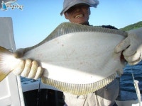 안흥 낚시배 안흥낚시배 안흥 바다 낚시 8월14일 뉴 길성호 대박 조황 2,3부입니다 뉴길성호 조황정보  [충남 - 태안군] - 낚시배닷컴