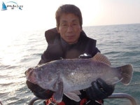 태안 선상낚시 안흥항배낚시 11월 9일 창덕호 굿~조황!!(2부) 청용호 조황정보  [충남 - 태안군] - 낚시배닷컴