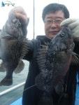 인천 먼바다낚시 인천먼바다낚시 5월 22일 씨알 및 마릿수 굿조황(3~1부) 히트호 조황정보  [인천 - 중구] - 낚시배닷컴
