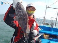 태안 선상낚시 10월11일 창덕호 굿~조황입니다 청용호 조황정보  [충남 - 태안군] - 낚시배닷컴