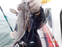 태안 선상낚시 8월21일 청용호 6분독선  굿~조황입니다 청용호 조황정보  [충남 - 태안군] - 낚시배닷컴