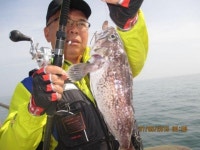 영흥도 배낚시 5월31일영동3호조항1부 영동3호 조황정보  [인천 - 옹진군] - 낚시배닷컴