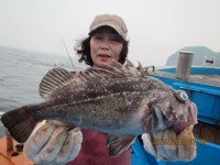 안흥항 배낚시 선상배낚시 안흥재성호 7월29일 조황정보 재성호 조황정보  [충남 - 태안군] - 낚시배닷컴