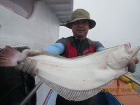 안흥항 배낚시 선상배낚시 안흥재성호 8월11일 조황정보 재성호 조황정보  [충남 - 태안군] - 낚시배닷컴