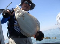 평택항 낚시배 6월 11일 동일호 조황입니다. 동일호 조황정보  [경기 - 평택시] - 낚시배닷컴