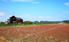 남동구 동정-소래습지생태공원  내용 | 남동구청 남동PHOTO>남동행사