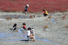 남동구 동정-소래습지생태공원  내용 | 남동구청 남동PHOTO>남동행사