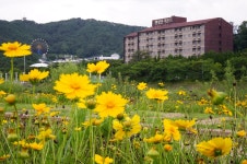 즐길거리 > 편안한 잘거리 상세보기 > 켄싱턴 리조트 지리산 남원켄싱턴 리조트 지리산 남원 즐길거리 > 편안한 잘거리 상세보기 > 켄싱턴 리조트... 