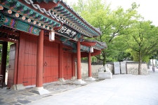 관광안내 > 포토갤러리 상세보기 > 광한루원 능소화광한루원 능소화 관광안내 > 포토갤러리 상세보기 > 광한루원 능소화