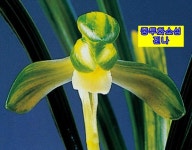 난나라직거래에 오신 것을 환영합니다.