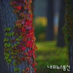 제1회 빛사진연구회 사진전 - 내외뉴스통신 제1회 빛사진연구회 사진전