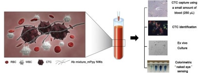 보도자료 상세보기 > 사이버홍보센터 | 국립암센터