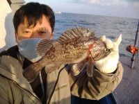 안흥 배낚시  11월 1일 부진한 조황... 남덕5호 조황정보  [충남 - 태안군] - 낚시배닷컴