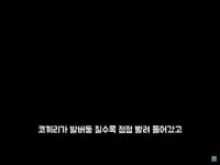 코끼리가 11시간 동안 땅을 판 이유?