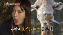 어제자 언니들 아무말 대잔치