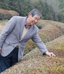 “녹차단지를 세 모둠으로 나눌 수 있다면” - 뉴스사천 “녹차단지를 세 모둠으로 나눌 수 있다면”