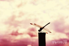유민의 農 에세이 [영농자재신문(주)] 유민의 農 에세이