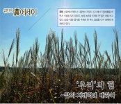 [유민의 農 에세이] ‘우리’의 힘 [영농자재신문(주)] [유민의 農 에세이] ‘우리’의 힘