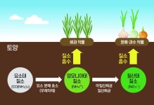 블라인드 | 팜한농 뉴스