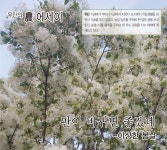 [유민의 農 에세이] 판이 바뀌면 좋겠네 [영농자재신문(주)] [유민의 農 에세이] 판이 바뀌면 좋겠네