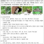 농진청, 관계 부처-자체 협업 돌발해충 공동방제 [영농자재신문(주)] 농진청, 관계 부처-자체 협업 돌발해충 공동방제