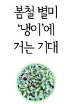 [기고] 봄철 별미 ‘냉이’에 거는 기대 [영농자재신문(주)] [기고] 봄철 별미 ‘냉이’에 거는 기대