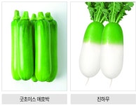 영농자재신문(주) [영농자재신문(주)] 저장성 우수한 흰가루 내병성 ‘굿초이스’ 애호박