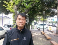 제주시, 전정 작업 ‘명품 가로수길’ 조성 - 제주환경일보 제주시, 전정 작업 ‘명품 가로수길’ 조성