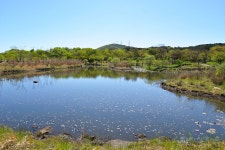『한라생태숲』 맑은 날 - 제주환경일보 『한라생태숲』 맑은 날﻿