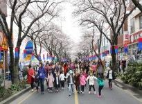 새 봄의 향연..서사라문화거리 축제 초대 - 제주환경일보 