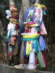 [향토문화]죽성마을 수호신..오등동 설새밋당(설새미당, 죽성본향) - 제주환경일보 [향토문화]죽성마을 수호신..오등동 설새밋당(설새미당, 죽성본향)