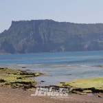 제주도가 사랑받는 이유는 제주환경이 주는 다양성.. - 제주환경일보 제주도가  사랑받는 이유는 제주환경이 주는 다양성..
