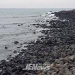 탐라에선 바당과 드르에 봄이 고찌 옴을 알라.. - 제주환경일보 탐라에선 바당과 드르에 봄이 고찌 옴을 알라..