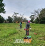 구좌읍, 명절맞이 충혼묘지 환경정비 실시 - 제주환경일보 구좌읍, 명절맞이 충혼묘지 환경정비 실시