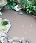 “제주시 해안동 용천수 ‘주루렛물’시도 때도 없이 축산폐수 섞여 유입” - 제주환경일보 “제주시 해안동 용천수 ‘주루렛물’시도 때도 없이... 