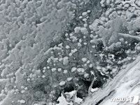 구좌청소년문화의집 청소년, 코로나 극복 나눔 기부 활동 - 제주환경일보 구좌청소년문화의집 청소년, 코로나 극복 나눔 기부 활동