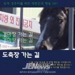 ‘도축장 가는 길’ 행진 나선다 - 제주환경일보 경주마 도축, 말 되나?..퇴역 경주마의 삶 보장.. ‘도축장 가는 길’  행진 나선다