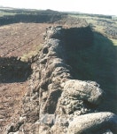 박근혜 대통령, “독일은 한반도 평화통일의 모델” - 제주환경일보 박근혜 대통령, “독일은 한반도 평화통일의 모델”