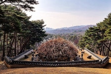 “하도철새도래지 A1 검출” - 제주환경일보 “하도철새도래지 A1 검출”