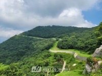 한라산 자락 ‘숫모르 편백 숲길’, 걷기 좋은 우수 명품 숲길 선정 - 제주환경일보 한라산 자락 ‘숫모르 편백 숲길’, 걷기 좋은 우수 명품... 