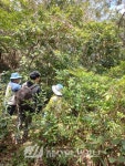 제주자연돌봄센터, ‘문섬·범섬 천연보호구역’ 모니터링 실시 - 제주환경일보 제주자연돌봄센터, ‘문섬·범섬 천연보호구역’ 모니터링 실시