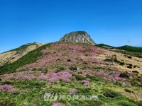 제주도, 2021년 스스로해결단 워크숍 개최..온라인 영상회의 진행 - 제주환경일보 제주도, 2021년 스스로해결단 워크숍 개최..온라인 영상회의... 