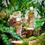 서귀포시 평생학습관 교육 프로그램 매우 만족 - 제주환경일보 서귀포시 평생학습관 교육 프로그램 매우 만족